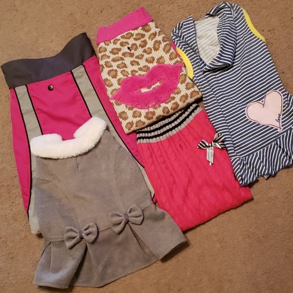 Dog clothes - bundle of 5 items, - Picture 1 of 8